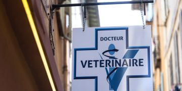 Ni désinformation ni dogmatisme, mais une démarche scientifique : la santé animale et les vétérinaires