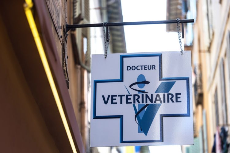 Ni désinformation ni dogmatisme, mais une démarche scientifique : la santé animale et les vétérinaires