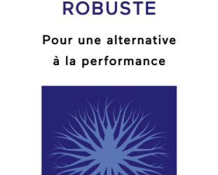 L&rsquo;entreprise robuste pour une alternative à la performance