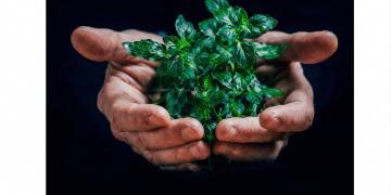 Première étude : Ecologie : le non-dit