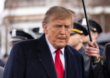 Trump II : la démocratie américaine à l’épreuve des contre-pouvoirs