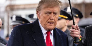 Trump II : la démocratie américaine à l’épreuve des contre-pouvoirs
